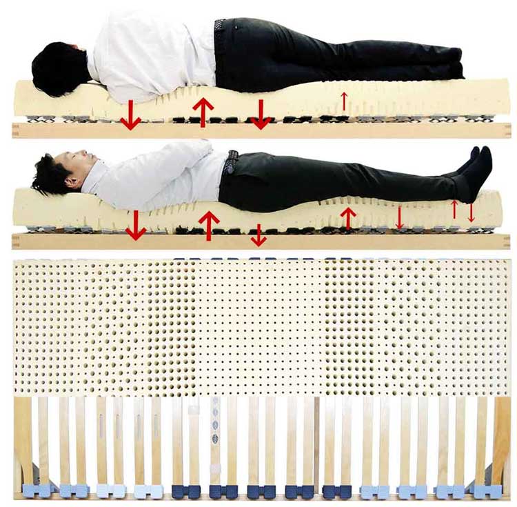 ベッドとマットレス双方の働きで腰を支え、全身の凹凸にフィットしている寝姿勢