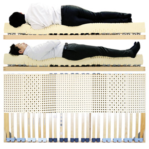 ウッドスプリング機能比較、男性寝姿勢図